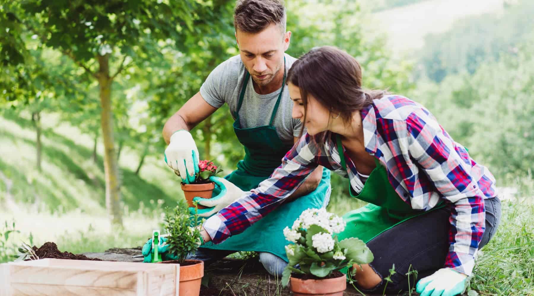 Gardening